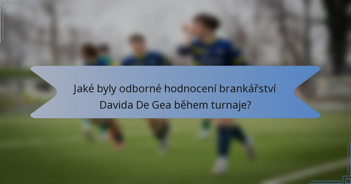 Jaké byly odborné hodnocení brankářství Davida De Gea během turnaje?