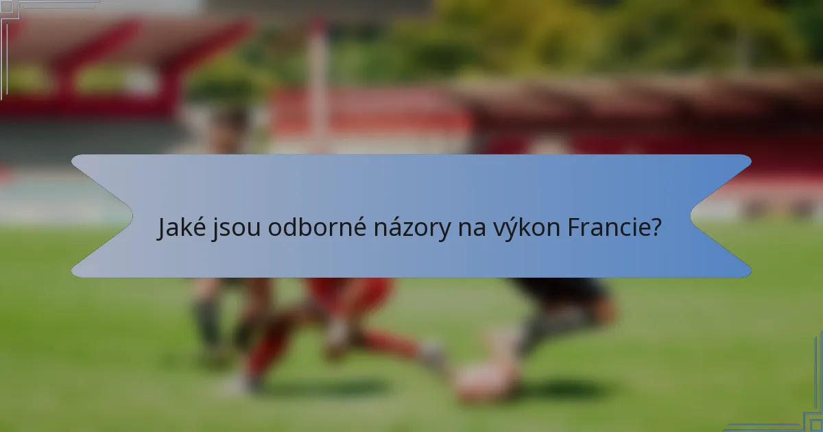 Jaké jsou odborné názory na výkon Francie?